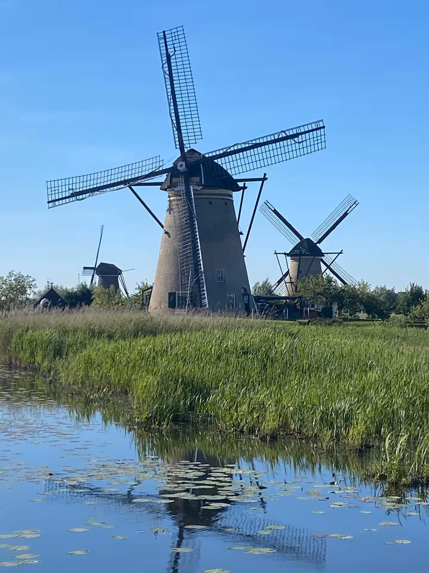 Kinderdijk windmills reflecting in canal, classic Dutch scenery on private tour from Rotterdam to Amsterdam