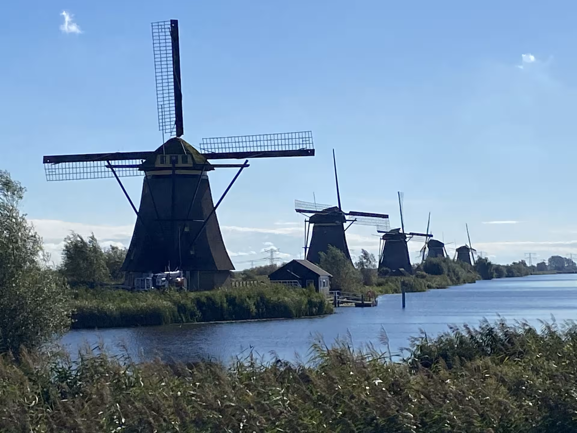 Kinderdijk windmills lining the canal on a private tour from Rotterdam to Amsterdam, UNESCO countryside views