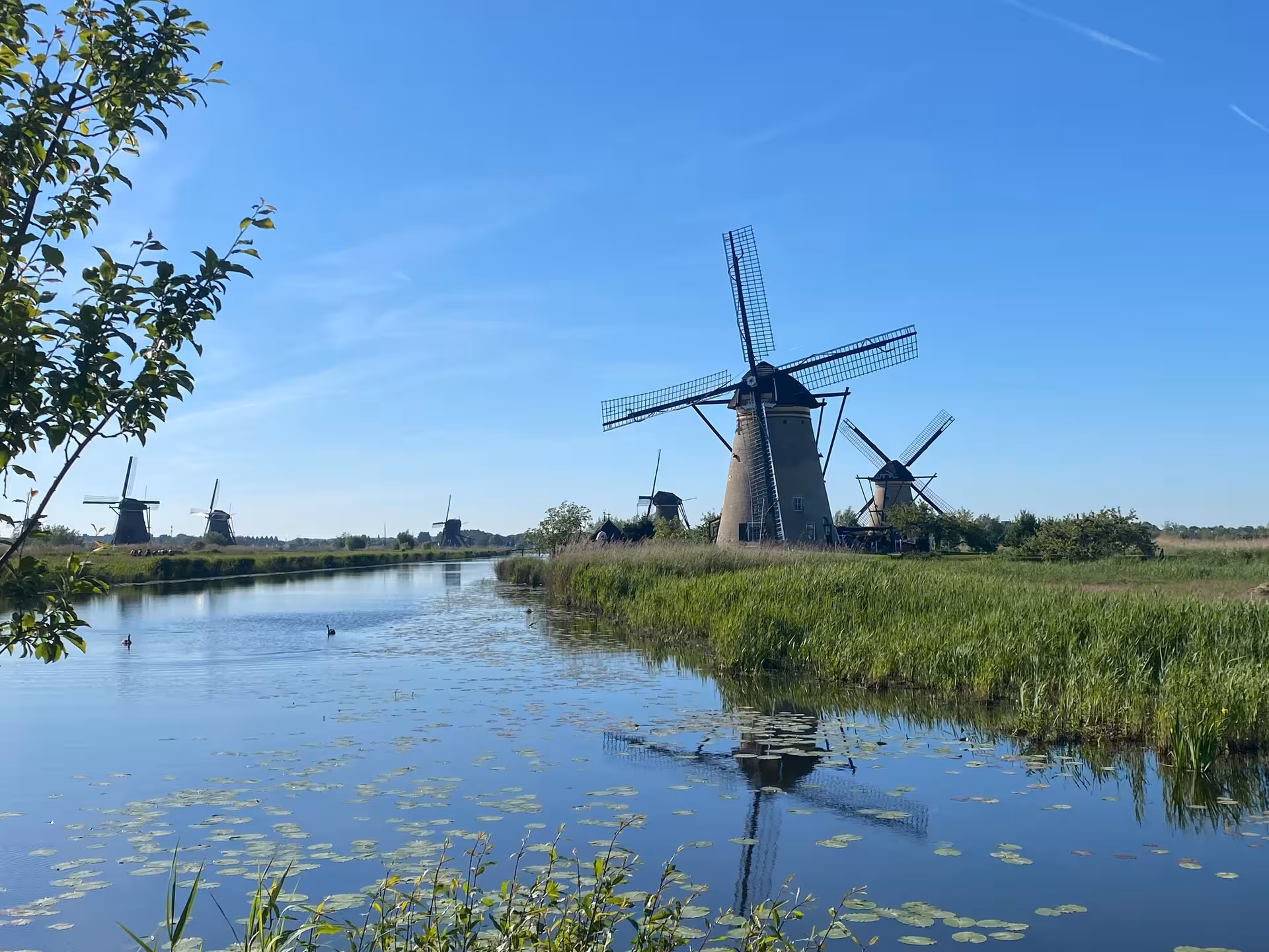 Scenic Kinderdijk canal with traditional Dutch windmills, stop on private Rotterdam to Amsterdam tour, UNESCO site