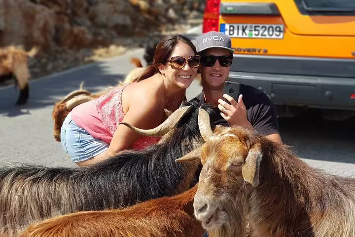 Tourists enjoy a close encounter with friendly goats during their luxury adventure in the serene landscapes of Crete.