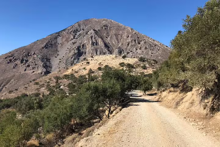 Scenic dirt road with olive trees leading to a majestic mountain near Knossos Palace, ideal for a luxury adventure tour.