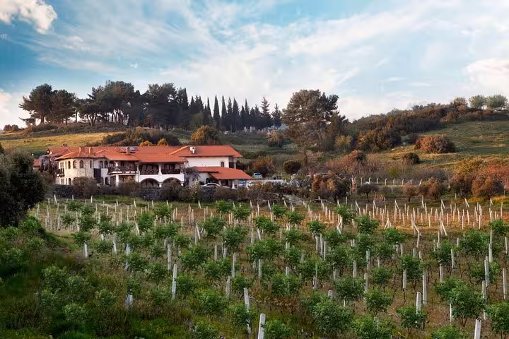 Vineyard estate near Kusadasi, perfect stop on private wine tasting and Ephesus shore excursion tour