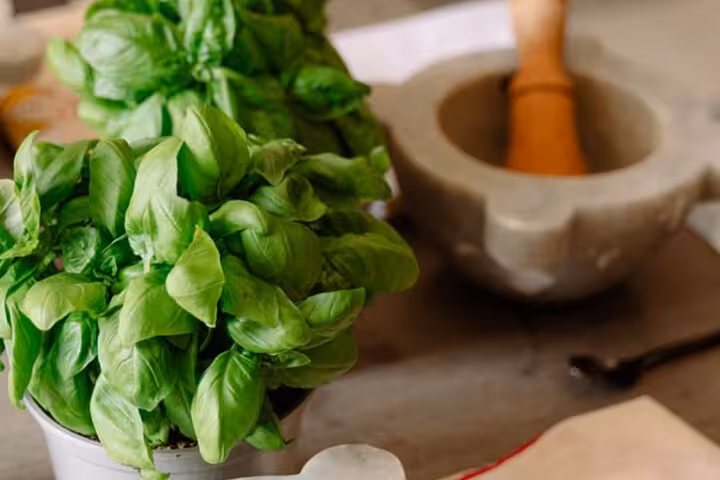 Fresh basil leaves with a traditional mortar and pestle, essential for Ligurian cuisine in Portofino and Cinque Terre.