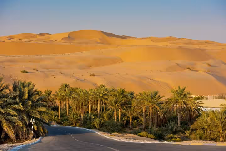 Lush palm trees meet the vast golden dunes of the Liwa Desert, highlighting the scenic beauty of the overnight safari.