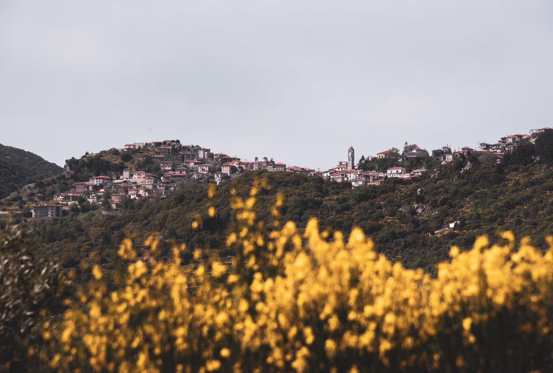Hilltop Arcadian village view near Lousios Gorge hiking trail, Peloponnese Greece, with spring wildflowers