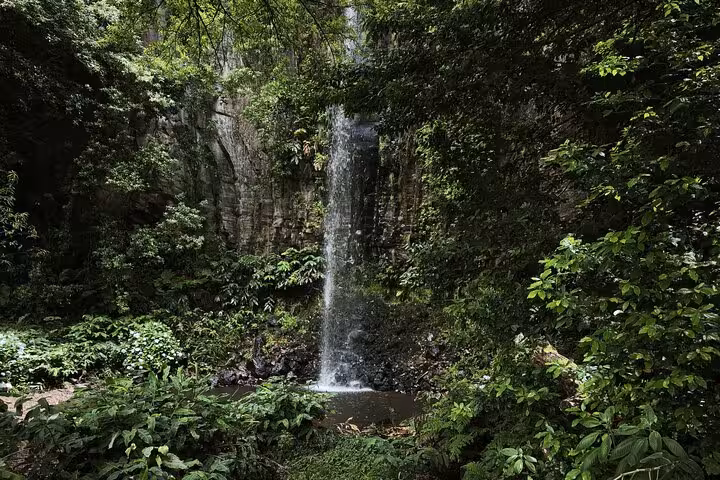 Hidden waterfall in Madeira laurel forest stop on Pico do Areeiro to Ponta São Lourenço 4x4 tour