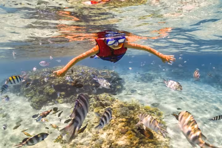 Snorkeler with mask and life jacket swimming above Mahmya Island reef fish, full-day Hurghada snorkeling tour