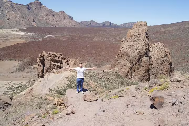 Man enjoying panoramic views of volcanic terrain during a private cruise ship excursion in a stunning natural setting.