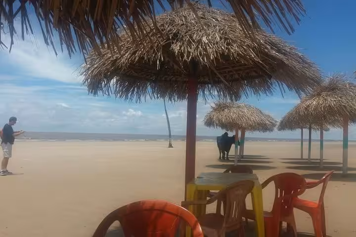 Thatched beach umbrellas and chairs on Marajó Island shoreline, relaxing break on 3-day Amazon Delta tour