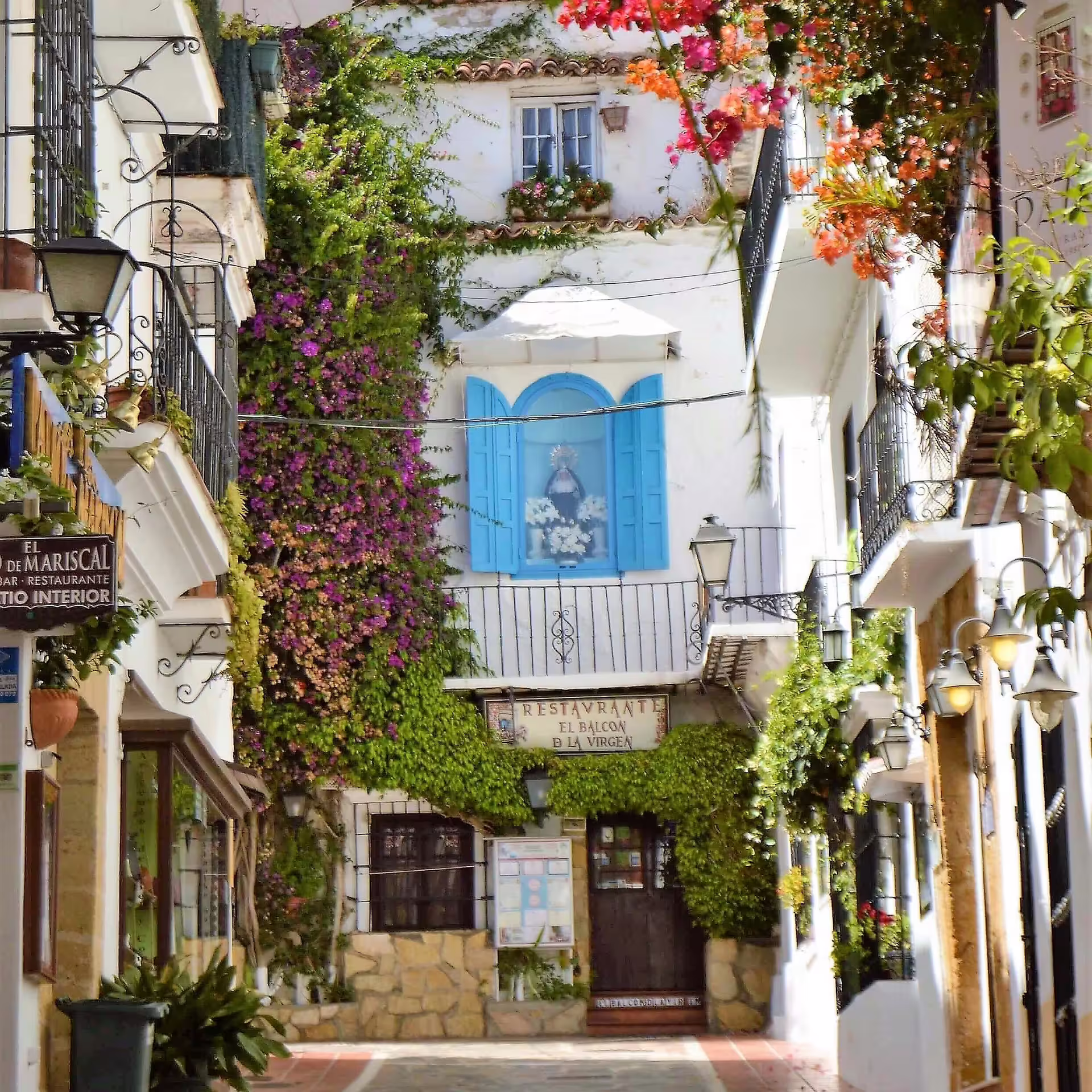 Charming Marbella old town street with blue shutters and bougainvillea, on Ronda and Marbella private trip