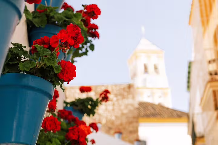 Bright red geraniums in blue pots adorn a wall in Marbella Old Town with a church tower in the background.