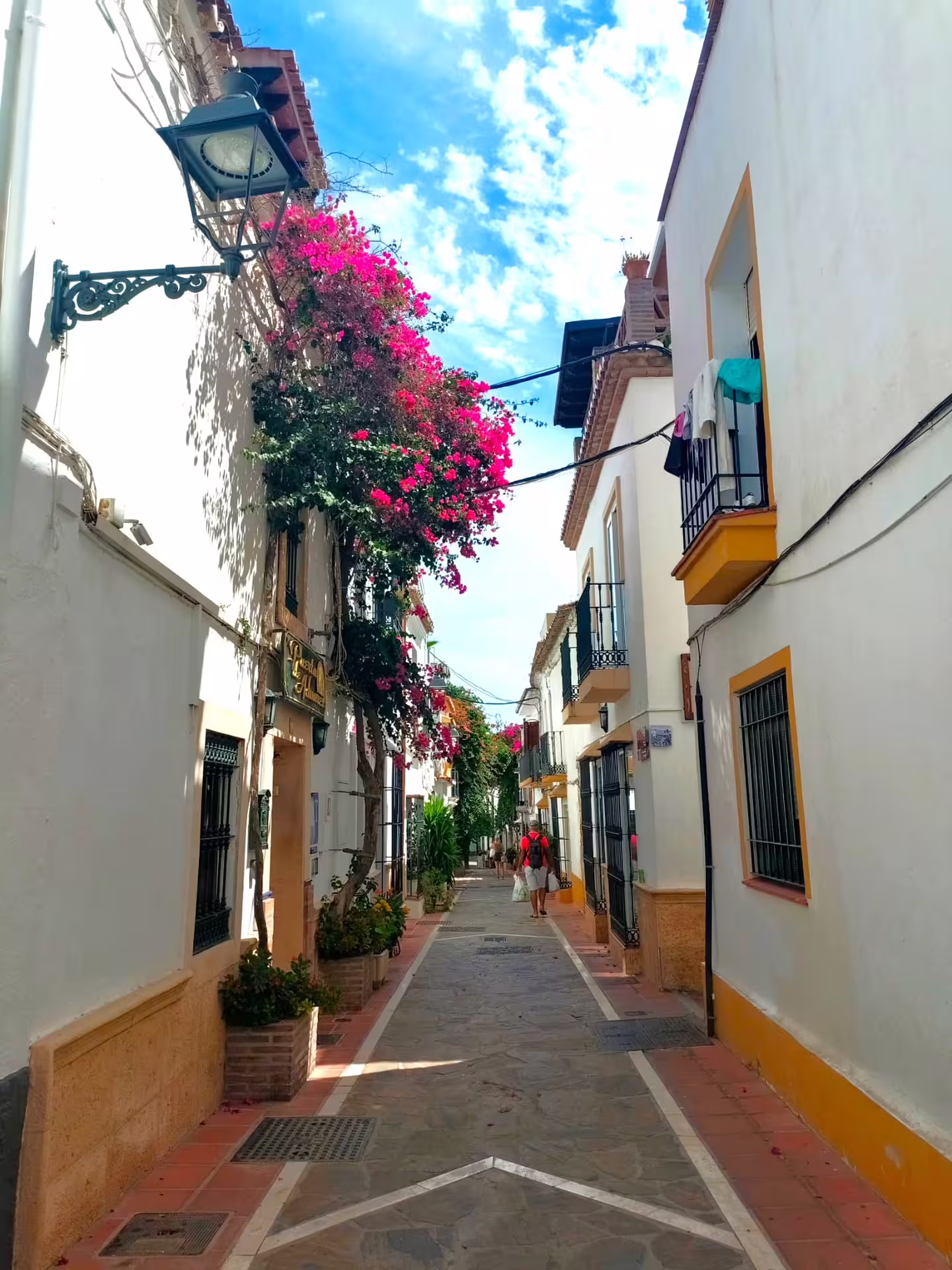 Charming Marbella Old Town alley with whitewashed houses and bougainvillea on a private tour from Malaga