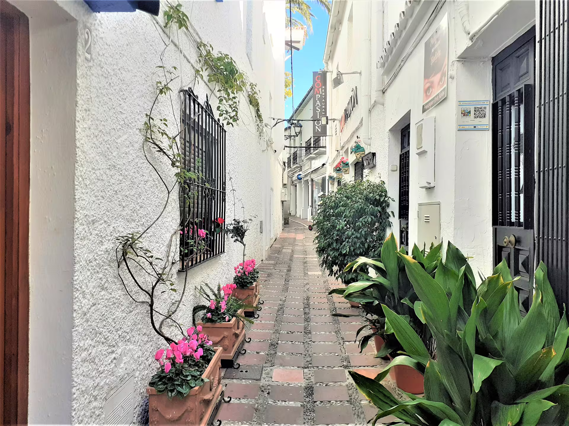 Charming whitewashed alley with flower pots in Marbella Old Town on a guided group walking tour