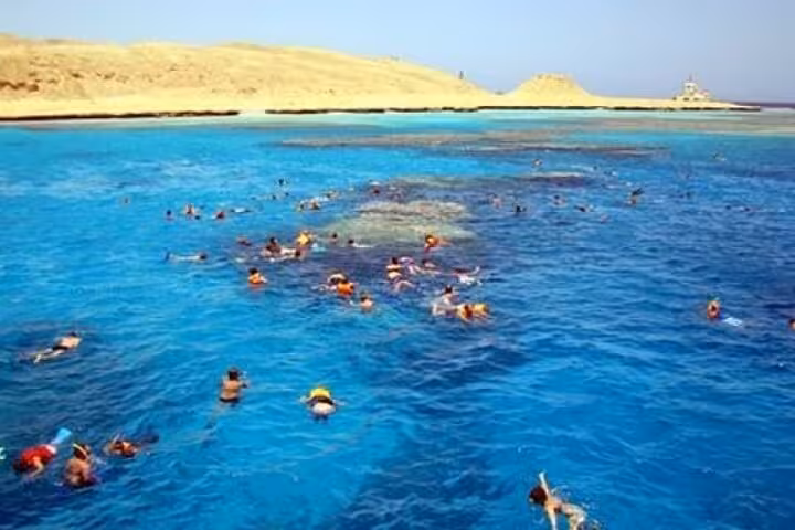 Snorkelers in crystal-clear Marsa Alam waters over reef, full-day private tour to swim with turtles and dugong