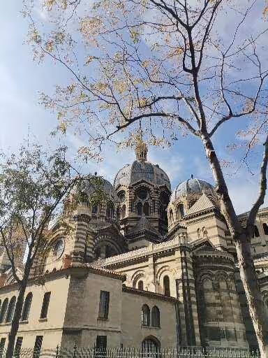 Dome-topped Marseille cathedral framed by trees, key landmark on the 7-day Christian heritage tour in Provence