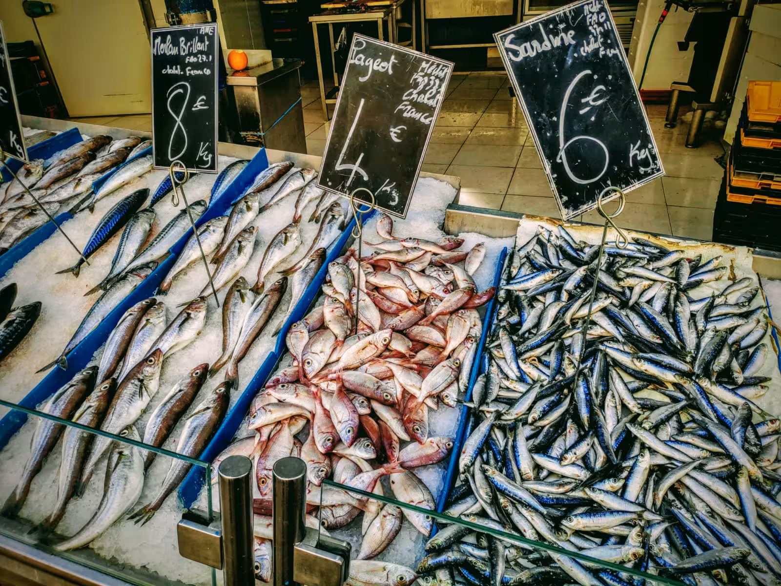 Fresh fish display at Marseille market, a foodie stop on the 3-day tour featuring local seafood and stalls
