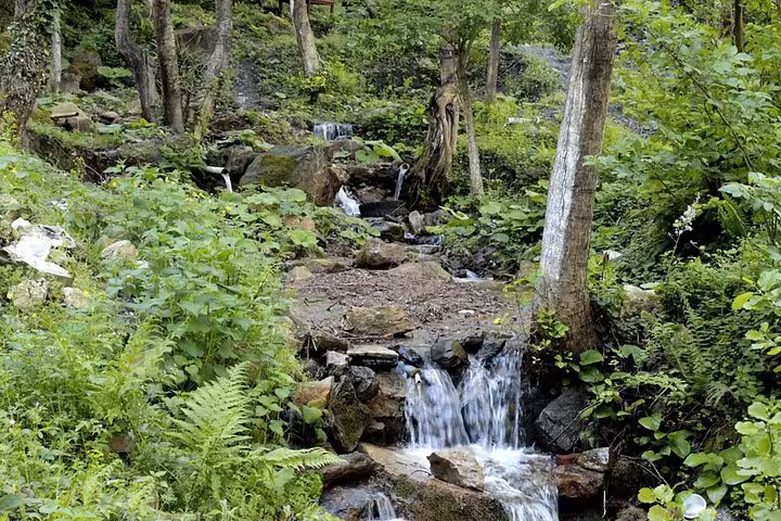 Masukiye forest waterfall stop on Sapanca day trip from Istanbul, lush greenery and flowing stream