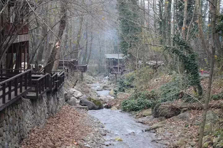 Forest stream and wooden walkway in Maşukiye Village, a scenic stop on a private day trip from Istanbul