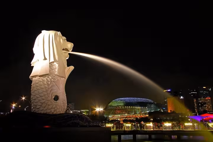 Merlion Park night view with fountain and Marina Bay lights on a 6-hour private Singapore city tour