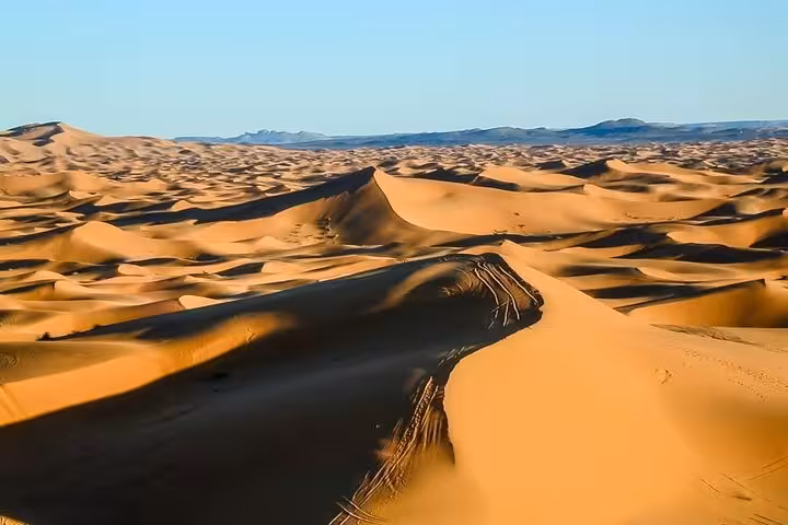 Endless golden dunes in Merzouga under a clear blue sky, showcasing the serene beauty of the Sahara Desert.