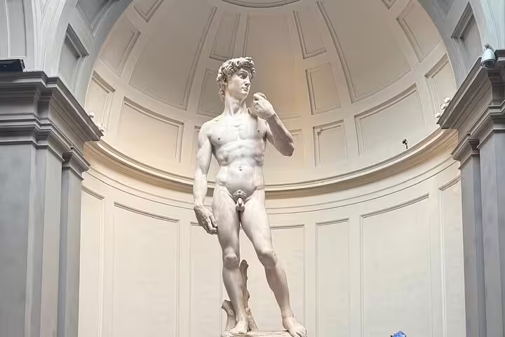 Marble statue of Michelangelo’s David inside Florence’s Accademia Gallery, featured on a skip-the-line guided tour of the museum