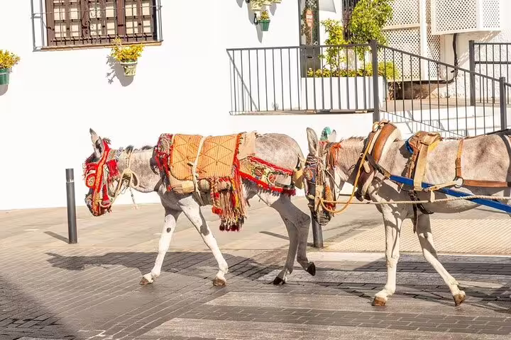 Decorated donkeys pulling a cart through the picturesque streets of Mijas, highlighting authentic local culture.