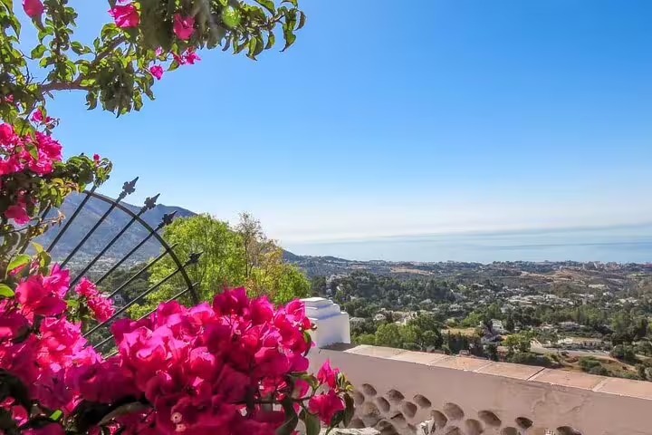 Vibrant pink flowers frame a panoramic view of Mijas and the Mediterranean Sea, highlighting the area's natural beauty.