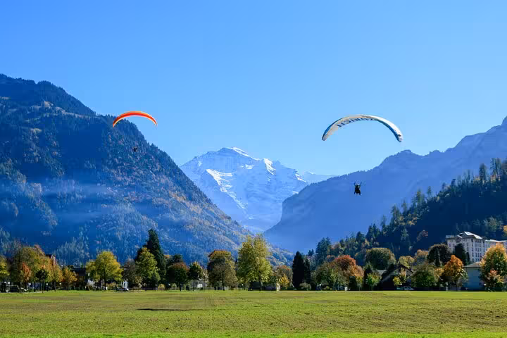 Paragliders soaring over lush green fields with the Swiss Alps backdrop, a highlight of Interlaken tours.