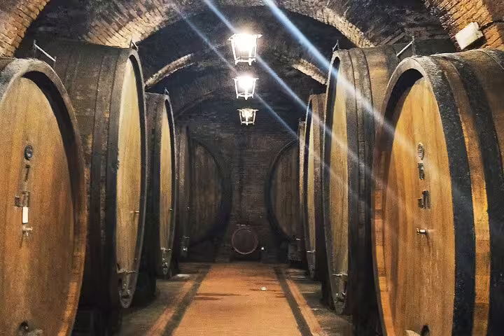 Atmospheric Montepulciano wine cellar with giant aging barrels, included in the private Cortona art and wine tasting experience