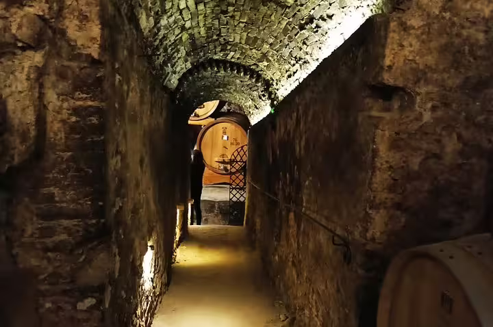 Atmospheric stone tunnel leading to traditional wine barrels in an underground Montepulciano cellar on a private tasting tour