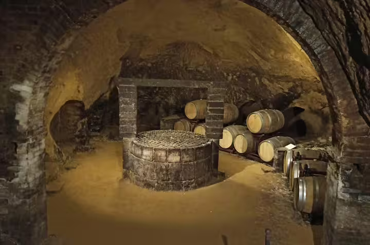 Historic Montepulciano wine cellar with aging oak barrels and ancient stone well on private Cortona art and wine tour