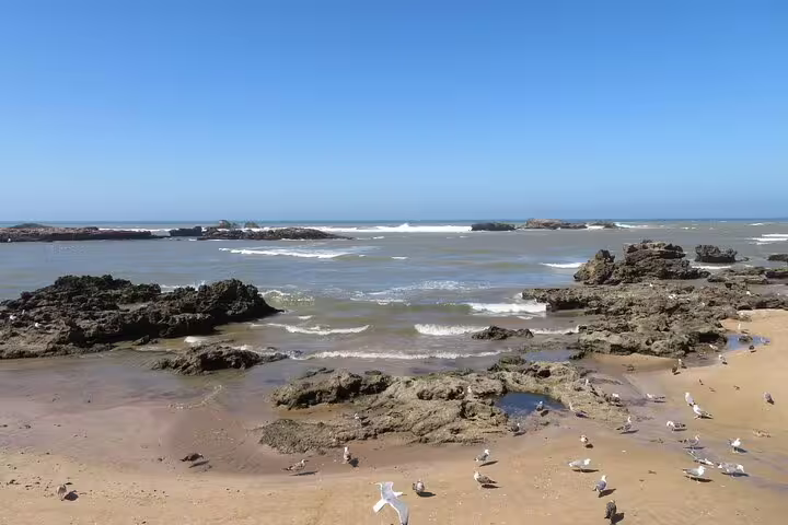 Rocky Atlantic coastline near Essaouira on Morocco 12-day tour from Marrakech, waves and seabirds