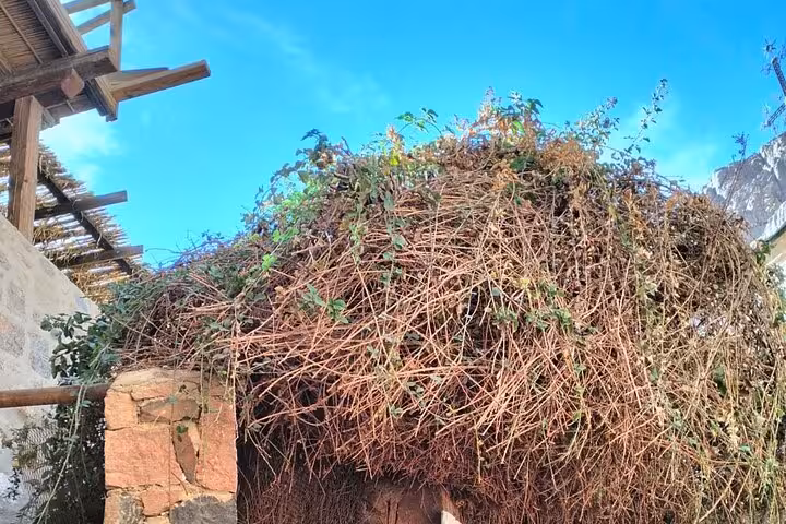 Rustic St Catherine village stone hut with vine-covered roof, stop on Saint Catherine Mountain climbing tour