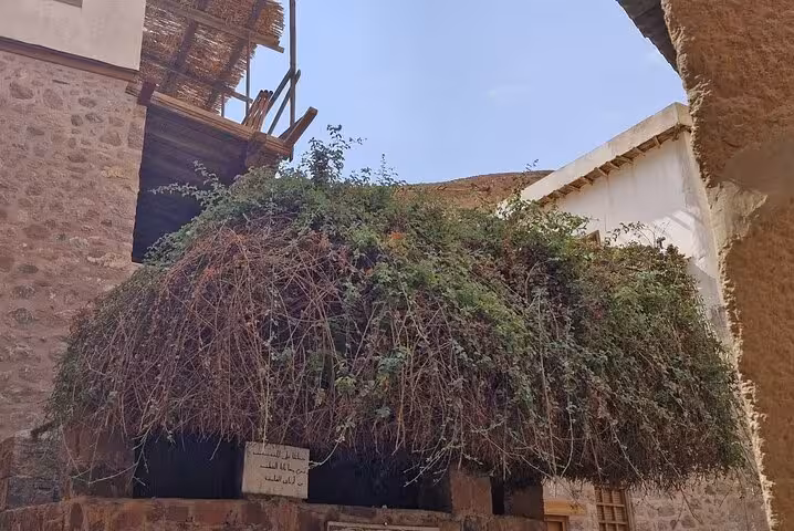 Rustic stone courtyard near St Catherine, oasis greenery on Saint Catherine Mountain climbing tour in Sinai