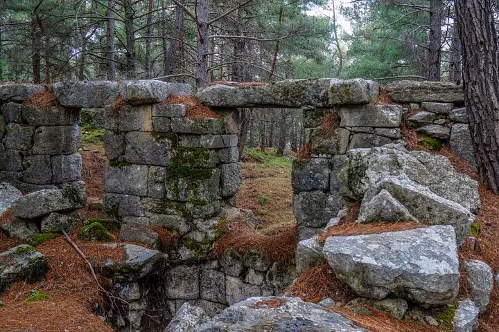 Moss-covered stone ruins in a lush Turkish forest, inviting exploration of ancient village history.