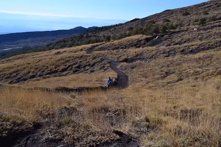 Hikers explore scenic trails on Mount Etna, surrounded by volcanic landscapes and expansive views.