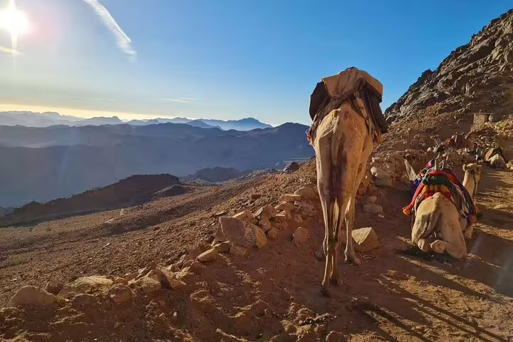 Camel trek on Mount Sinai sunrise climb from Dahab, rocky trail with sweeping Sinai mountain views