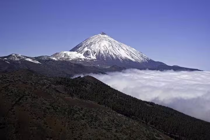 Capture stunning views of snow-capped Mount Teide above the clouds on a private excursion for cruise passengers.