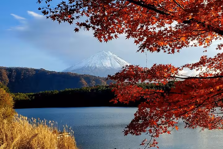 Scenic view of Mt. Fuji framed by vibrant red autumn leaves over a tranquil lake in Hakone, ideal for private tours.