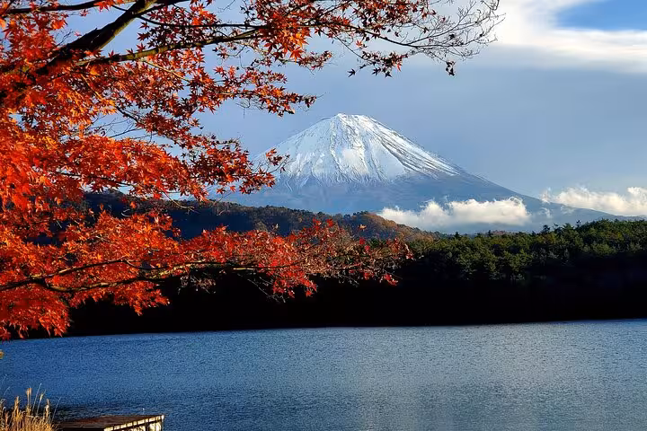 Stunning autumn leaves frame Mt. Fuji by a serene lake on a Hakone private tour with bullet train return.