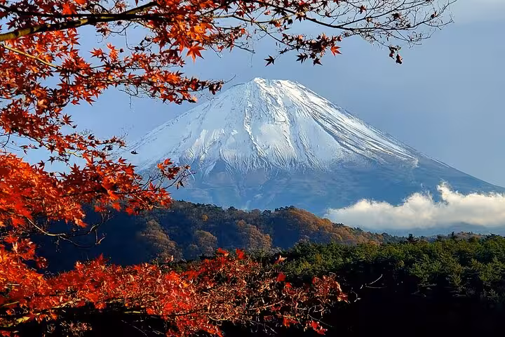 Majestic Mt. Fuji framed by vibrant autumn leaves, ideal for the Mt. Fuji & Hakone customizable private tour.