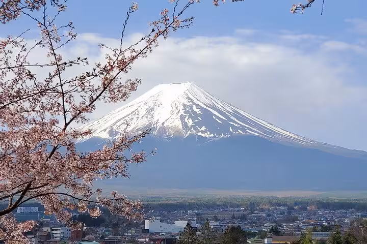 Majestic Mt. Fuji framed by cherry blossoms, perfect for a customizable Hakone tour with bullet train return.