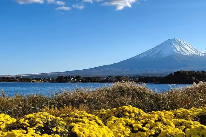 Mt. Fuji stands majestically over a lake with vibrant yellow flowers on a customizable tour with bullet train return.