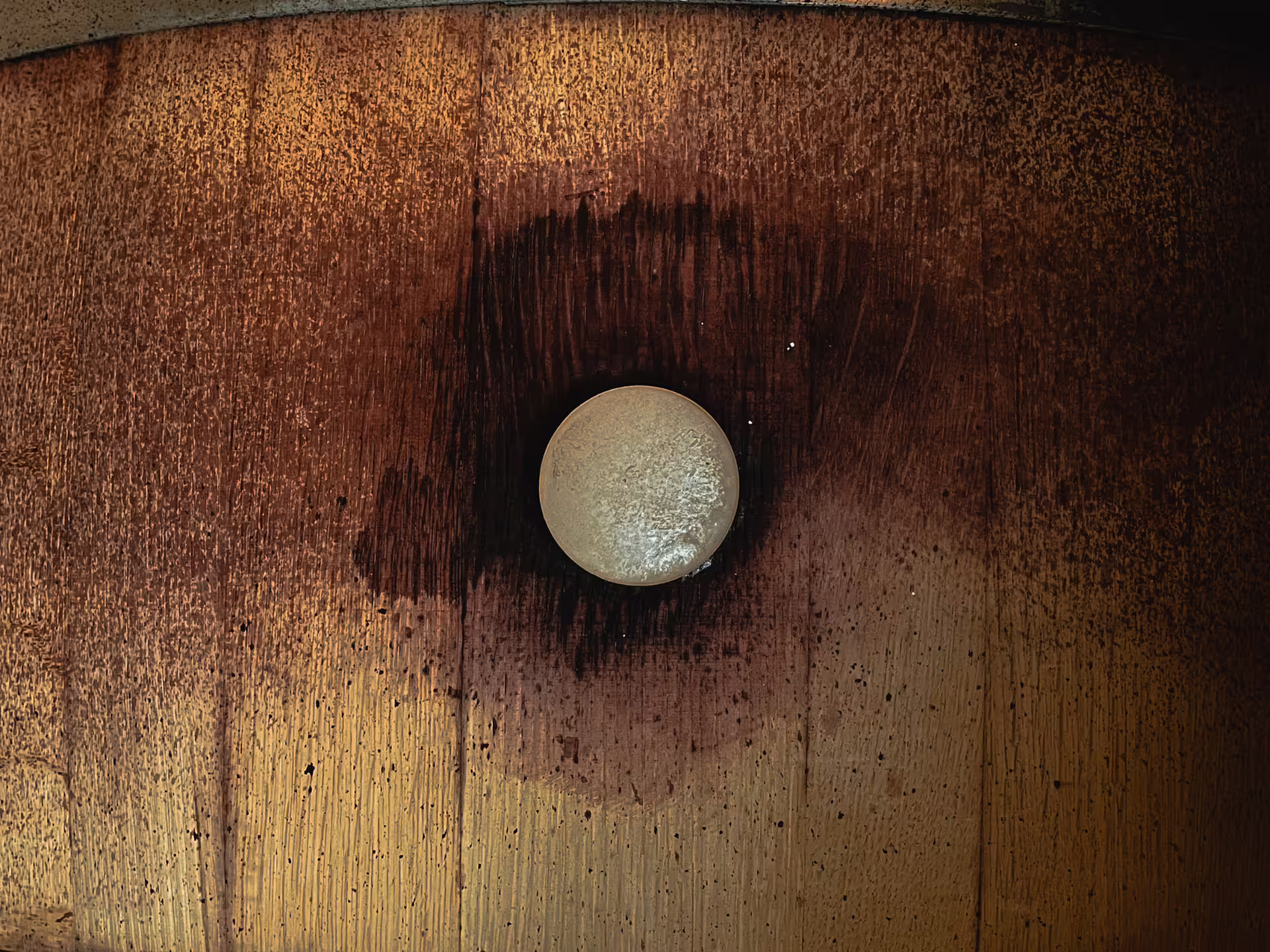 Oak wine barrel close-up in an organic Pavia winery cellar, part of guided wine tasting with local food