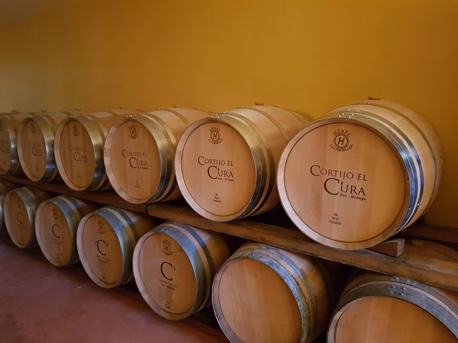 Row of oak barrels at Cortijo El Cura Eco-Bodega in Almería, highlighting sustainable wine production.