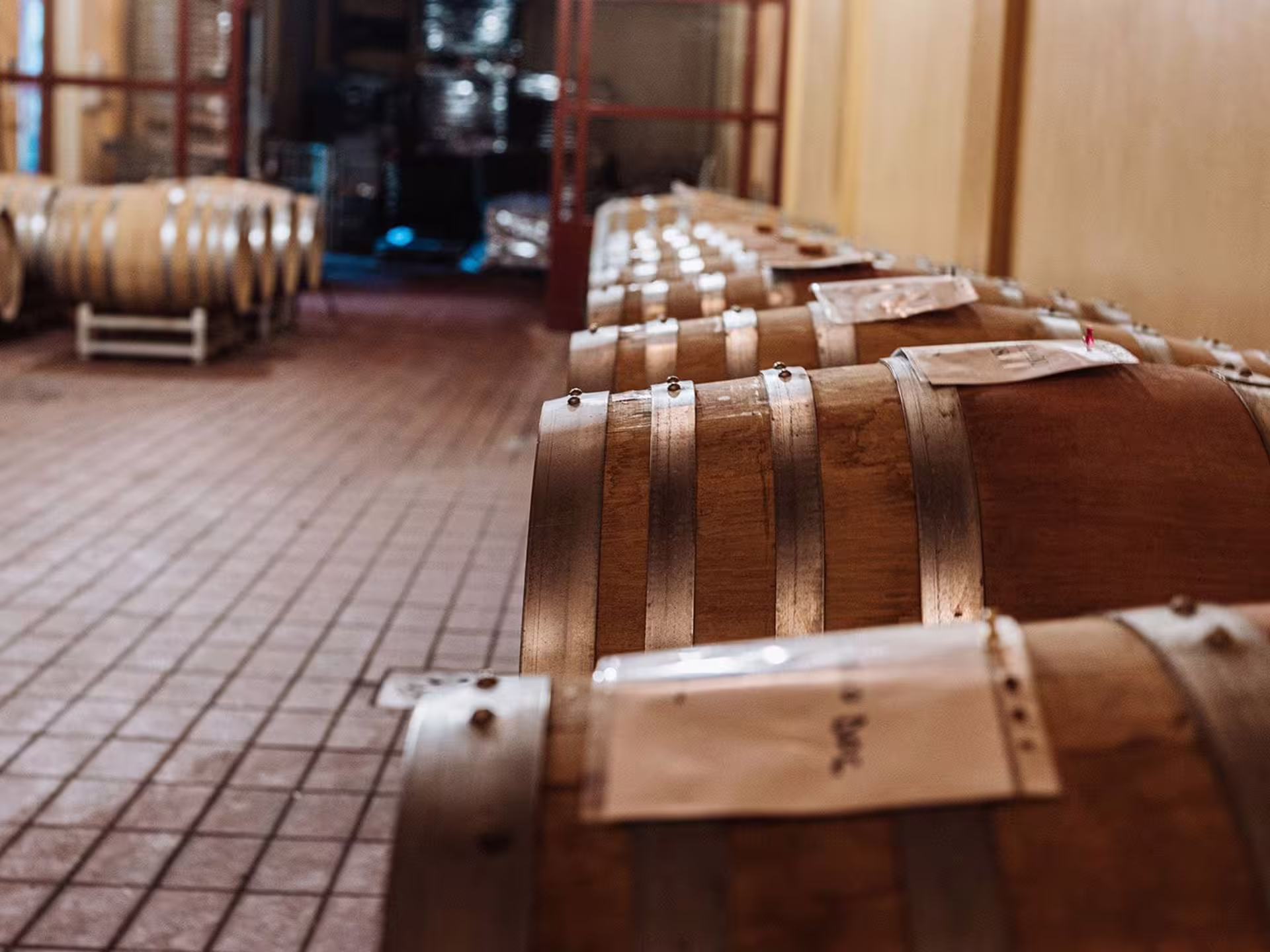 Rows of oak barrels in a rustic winery near Livorno and Pisa, perfect for an authentic wine tasting tour.