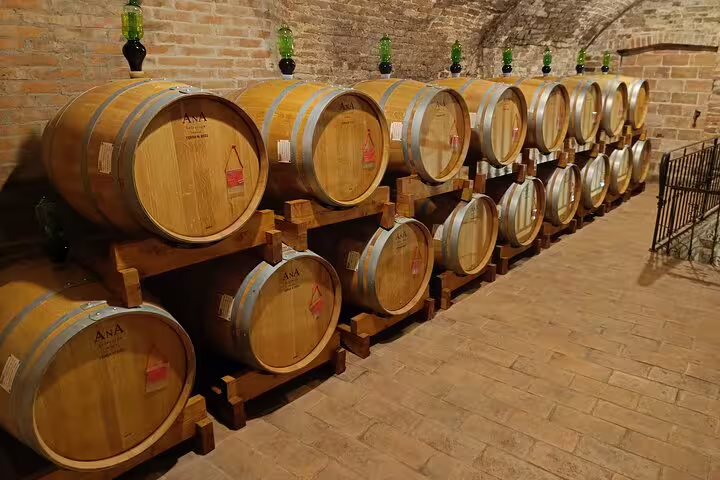 Row of oak wine barrels aging red and white wines in a rustic brick cellar on a countryside vineyard tour