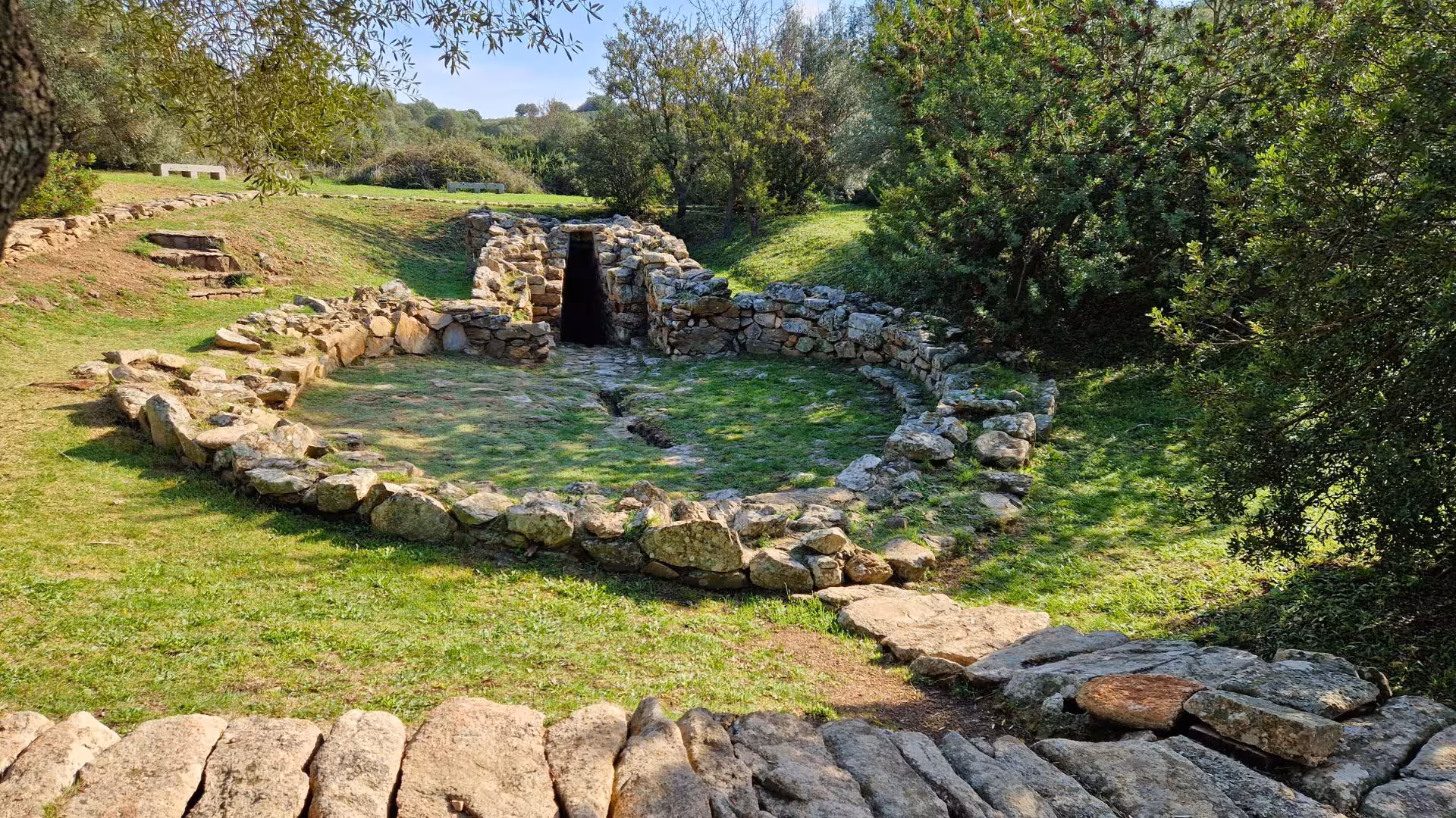 Explore ancient stone ruins surrounded by lush greenery on the Olbia history and archaeology tour.