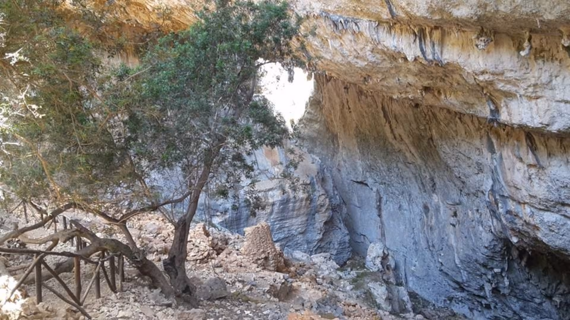 Discover the historic Tiscali cave adorned with trees and unique rock structures on the Mount Tiscali trek from Oliena.