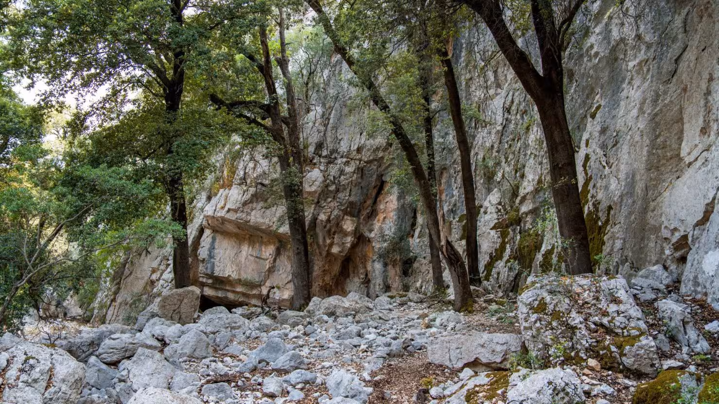 Scenic view of rugged limestone cliffs and verdant trees near Sa Nurre de Su Hoda cave, ideal for trekking in Oliena.